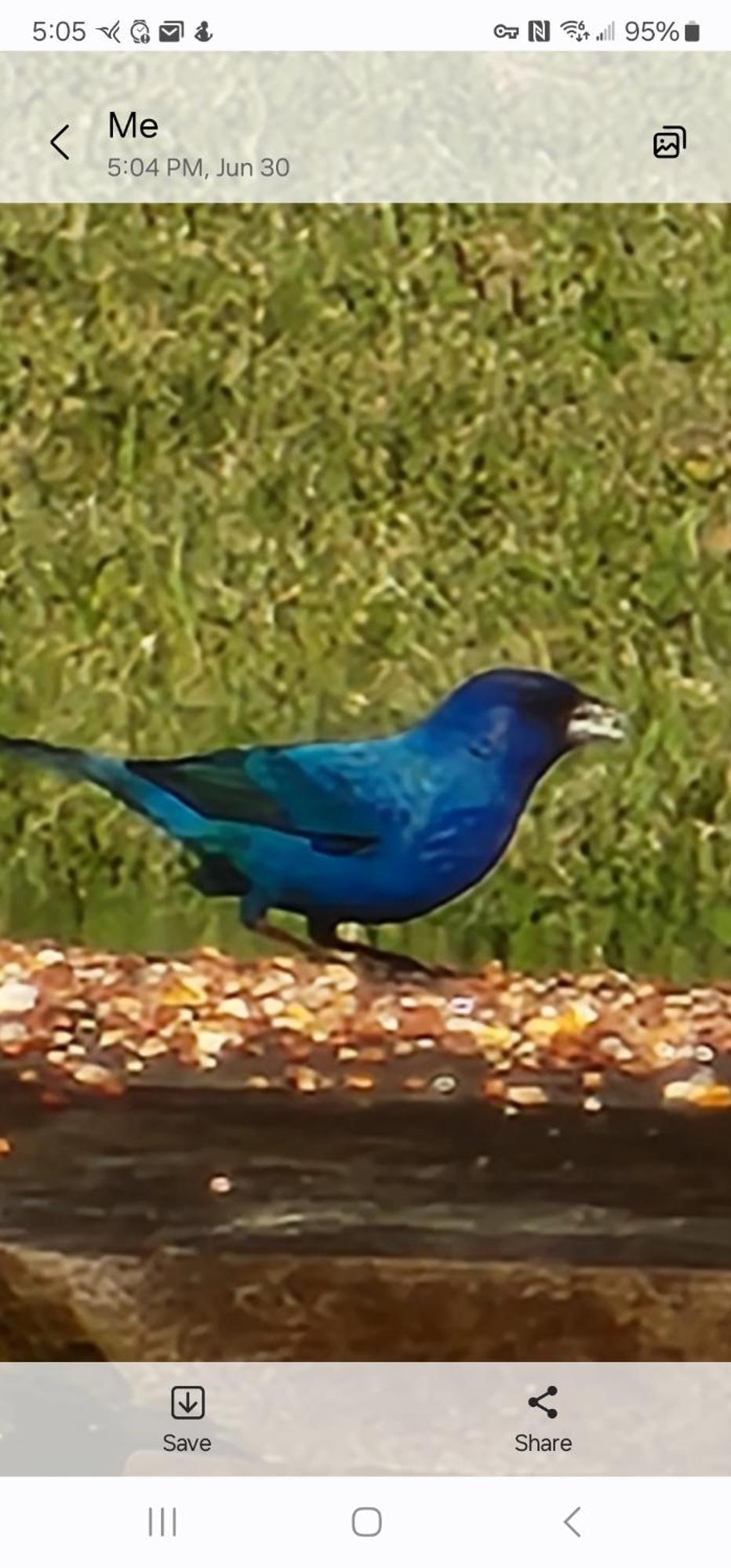 Sisters On Sycamore B&B Russellville ภายนอก รูปภาพ