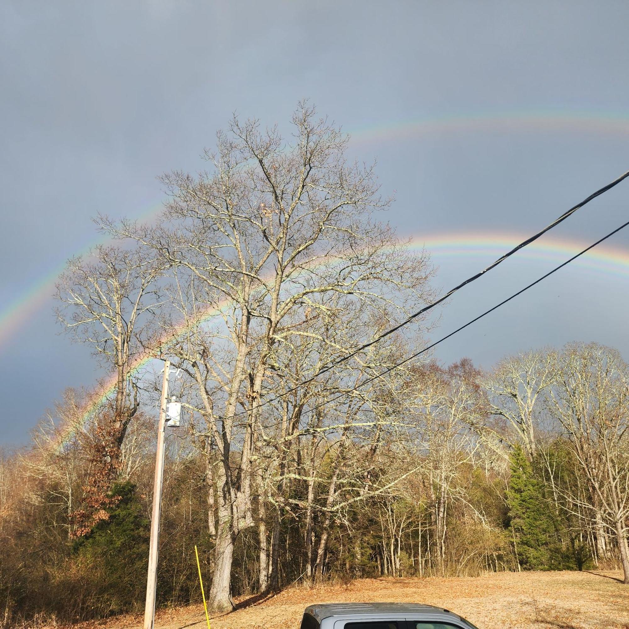 Sisters On Sycamore B&B Russellville ภายนอก รูปภาพ
